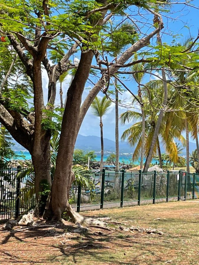 Cauris Lodge Du Marisol Vue Mer Acces Direct Plage Avec Citerne D Eau Le Gosier  Bagian luar foto